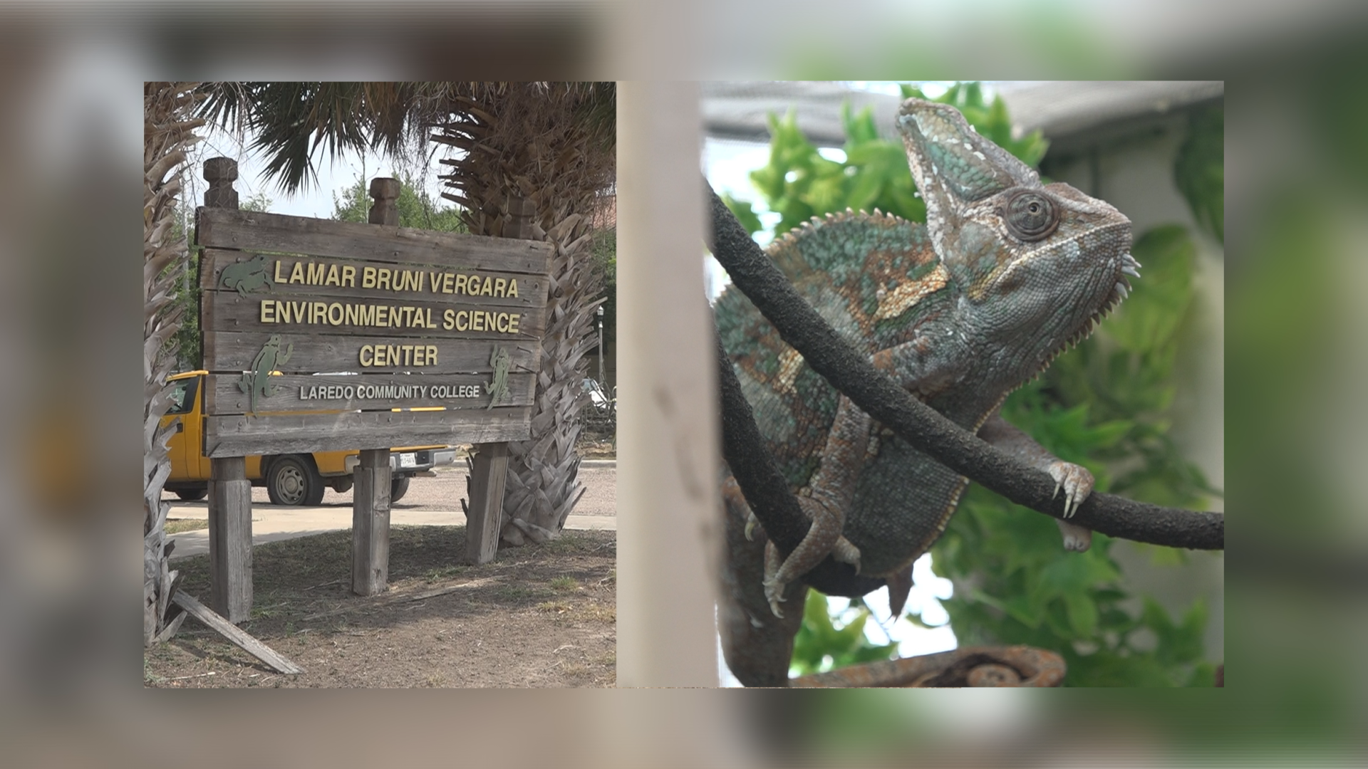 LBV environmental center staff continues wildlife intake, center renovations to be completed in 2025 - Vimarsana News