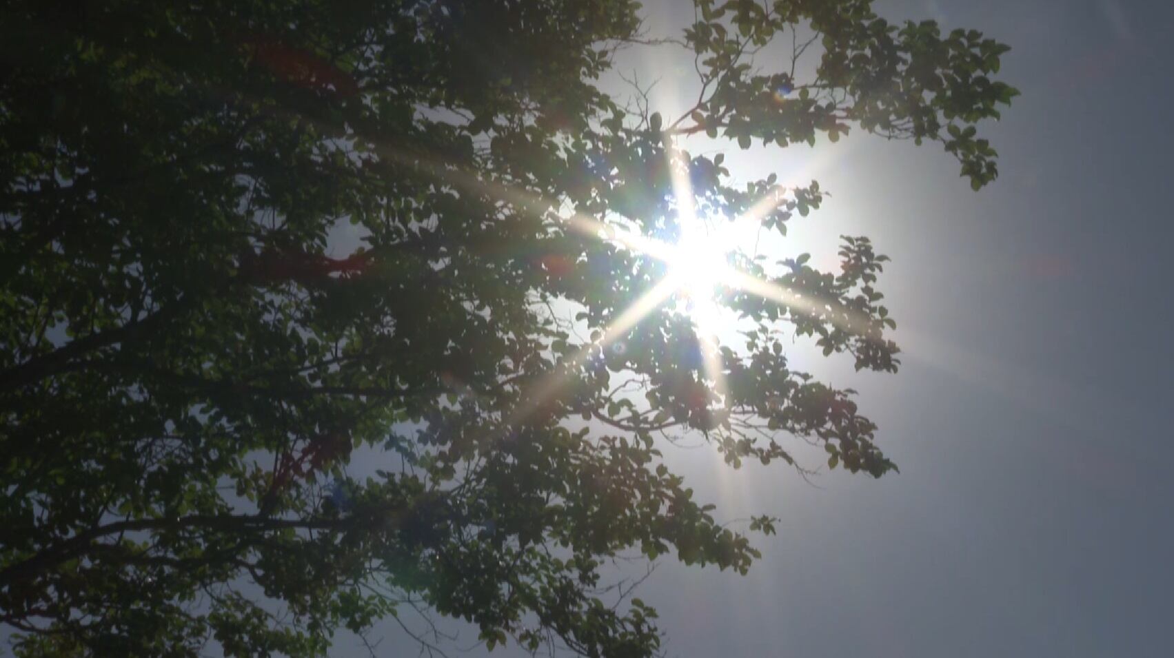 Laredo Fire Department: Stay safe as we endure extreme heat - Vimarsana News