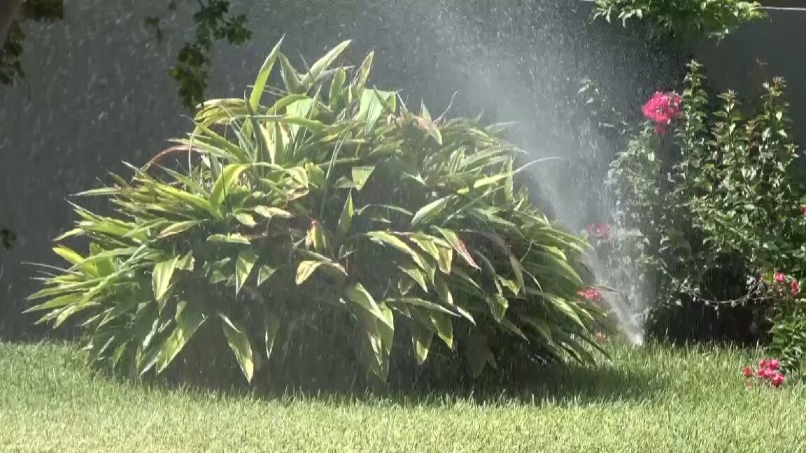 Laredo enters stage 3 of drought contingency plan; householdss only allowed to water one day a week - Vimarsana News